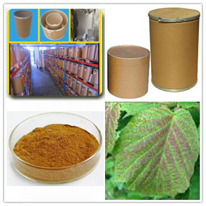 Hazel Leaves extract Hazel Leaves extract