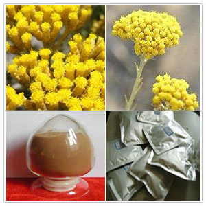 Helichryse Extract Helichryse Extract