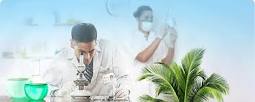 Hepatitis B immune globulin Hepatitis B immune globulin