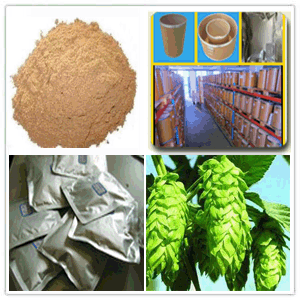 Hops Extract Hops Extract