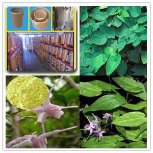 Horny goat weed Extract Horny goat weed Extract