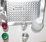 Human CD16 elisa kit Human CD16 elisa kit