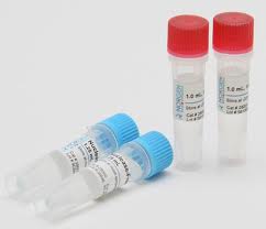 Human LPL ELISA KiT Human LPL ELISA KiT