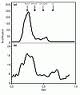 Human Procalcitonin Human Procalcitonin