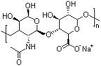 Sodium Hyaluronate (Hyaluronic Acid) Sodium Hyaluronate (Hyaluronic Acid)