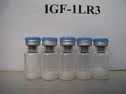 IGF-1LR3 IGF-1LR3
