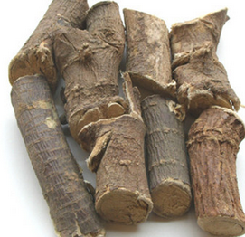 Indian Stringbush Root Extract