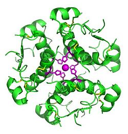 Insulin Insulin