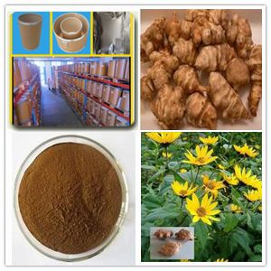 Jerusalem Artichoke extract Jerusalem Artichoke extract