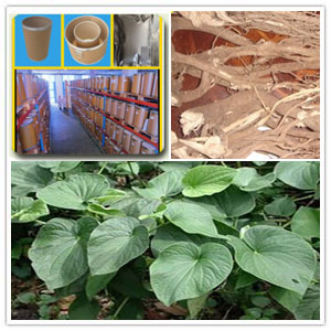Kava Root Extract Kava Root Extract