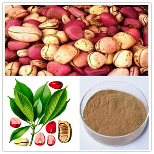 Kola Nut Extract Kola Nut Extract