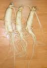 Korean Ginseng Root Extract Korean Ginseng Root Extract