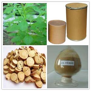 Liquorice extract Liquorice extract