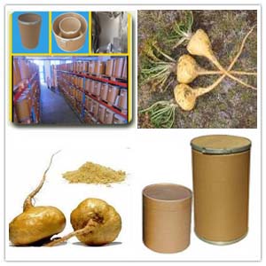 Maca root Extract Maca root Extract