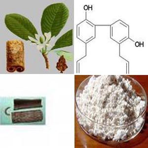 Magnolia Bark Extract