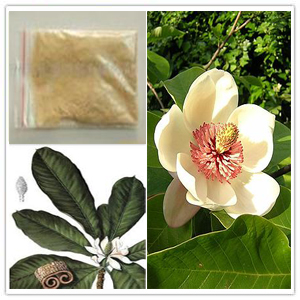 Magnolia extract Magnolia extract