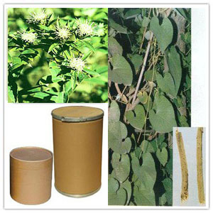 Manchurian Dutchmanspipe Stem Extract Manchurian Dutchmanspipe Stem Extract
