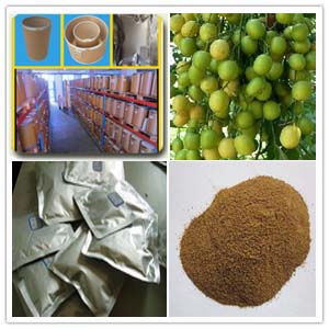 Margosa Fruit Extract Margosa Fruit Extract