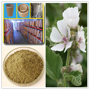 Marshmallow Extract Marshmallow Extract