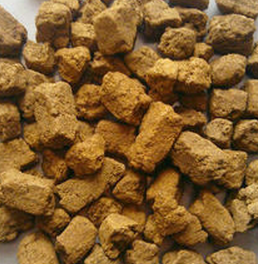 Medicated Leaven Extract