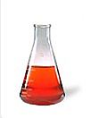 Microalgae DHA Microalgae DHA