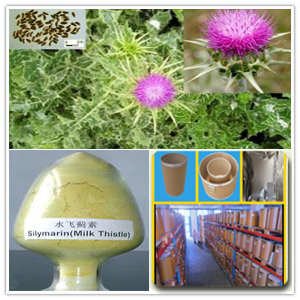 Milk Thistle Extract Milk Thistle Extract
