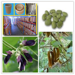 Mucuna Pruriens Extract