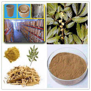 Muira Puama extract Muira Puama extract