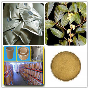Muira Puama leaf extract Muira Puama leaf extract