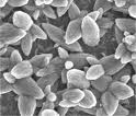 Nano Coating Nano Coating