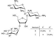 Neomycin