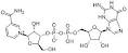 Nicotinamide guanine dinucleotide Nicotinamide guanine dinucleotide