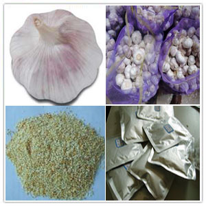Normal white garli Extract Normal white garli Extract
