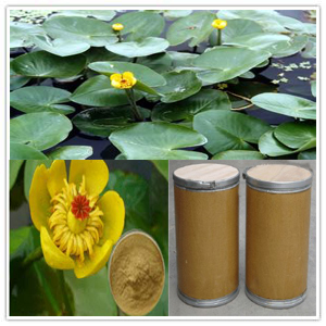 Nuphar Pumilum Extract Nuphar Pumilum Extract