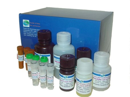 (OT/BGP)ELISA Kit (OT/BGP)ELISA Kit