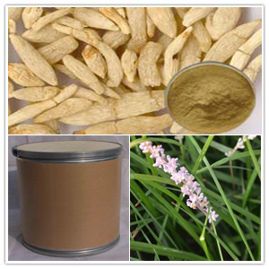 Ophiopogon Root Extract Ophiopogon Root Extract