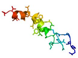 Orexin-A Orexin-A