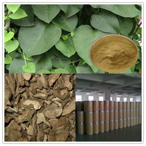 Oriental Stephania Root Extract