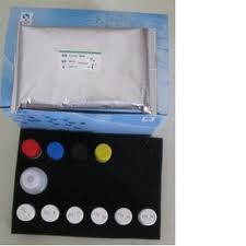 PTH ELISA Kit PTH ELISA Kit