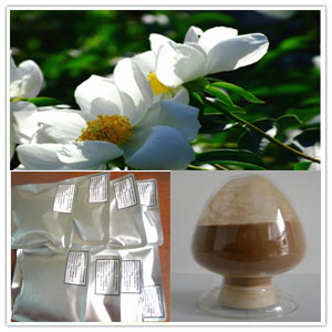 Paeonia Extract Paeonia Extract