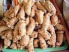 Panax Notoginseng Saponins(PNS)