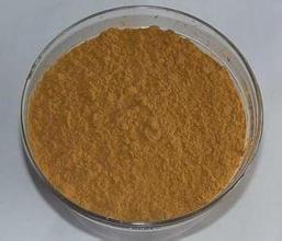 Panax Notoginsenosides Panax Notoginsenosides