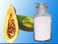 Papaya Fruit Powder