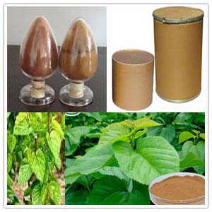 Paper mulberry extract Paper mulberry extract