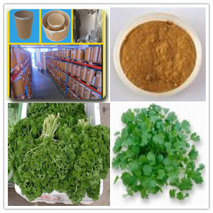 Parsley Extract Parsley Extract
