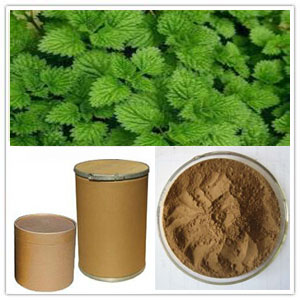 Peppermint extract Peppermint extract