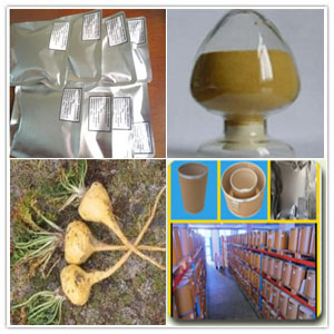 Peruvian ginseng extract Peruvian ginseng extract