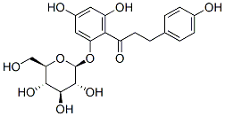 Phlorizin Phlorizin