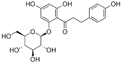 Phlorizin