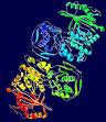Phosphoglucomutase Phosphoglucomutase